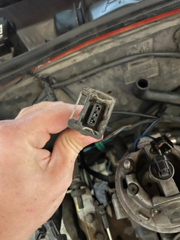 Stecker1.jpg