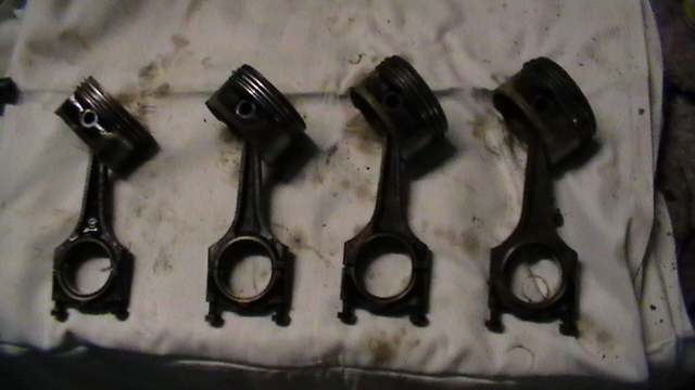 S1030013.JPG