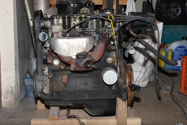 Cors281.JPG (458.01 KiB) 28491 mal betrachtet So sah der Kleine noch heute morgen aus.